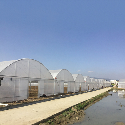 8-60m de comprimento túnel de alta película de plástico estufa tamanho personalizável para agricultura e produção de flores
