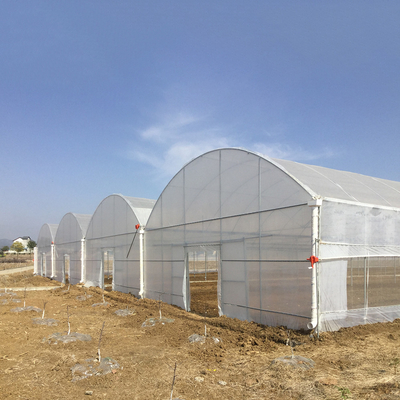 8-60m de comprimento túnel de alta película de plástico estufa tamanho personalizável para agricultura e produção de flores