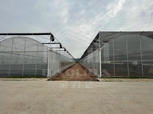 Baolida High Tunnel Film de Plástico Multi Span Casa de Verdura Tropical Ventola lateral Agricultura Estufa com sistema de sombreamento