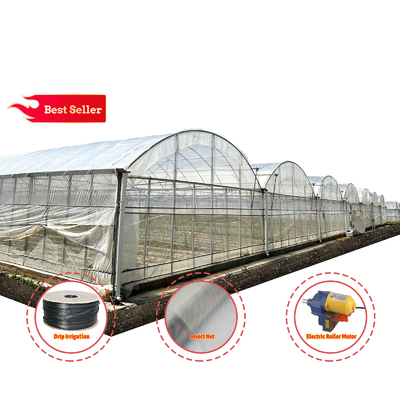 Baolida Sistema Automático Personalizado Estufas Sistema Hidropónico Tropical Estufas de Sementes Multi-Span