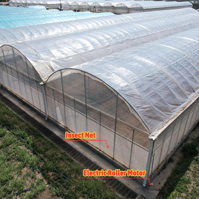 Baolida Sistema Automático Personalizado Estufas Sistema Hidropónico Tropical Estufas de Sementes Multi-Span
