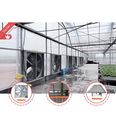 Termóstato Plantas impermeáveis Sistema de hidroponia de cultivo Túnel Estufas grandes para flores