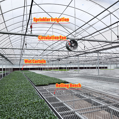 Termóstato Plantas impermeáveis Sistema de hidroponia de cultivo Túnel Estufas grandes para flores