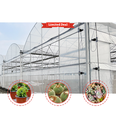 Solução de cultivo de vegetais 8-60m Tamanho personalizável Estufa de túnel agrícola com banco rolante e sistema de irrigação