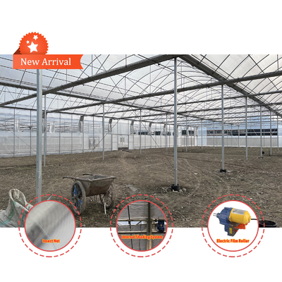 Solução de cultivo de vegetais 8-60m Tamanho personalizável Estufa de túnel agrícola com banco rolante e sistema de irrigação