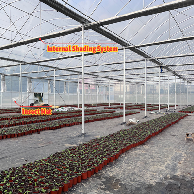 Solução de cultivo de vegetais 8-60m Tamanho personalizável Estufa de túnel agrícola com banco rolante e sistema de irrigação