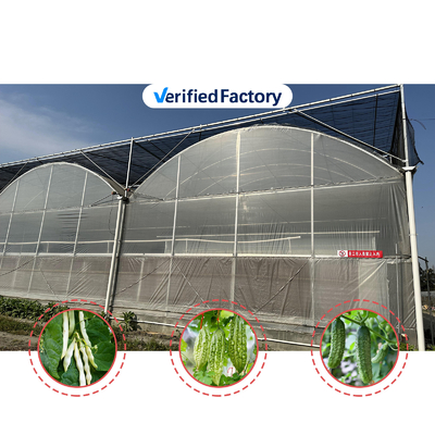 Produção de produtos hortícolas Sementes agrícolas Fragrância Estufas Multi-Túnel
