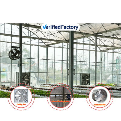 Produção de produtos hortícolas Sementes agrícolas Fragrância Estufas Multi-Túnel