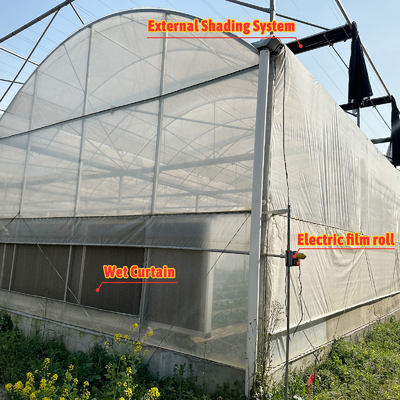 Estufas de folha de plástico de túnel agrícola Estufas de morango para venda com sistema de ventilação