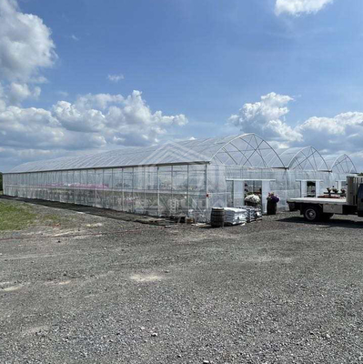 Estufa BAOLIDA 24x40m de um vão com filme PE de 150 mícrons