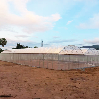 Estufa BAOLIDA 24x40m de um vão com filme PE de 150 mícrons