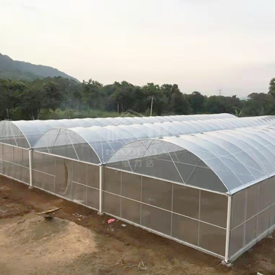 Estufa BAOLIDA 24x40m de um vão com filme PE de 150 mícrons