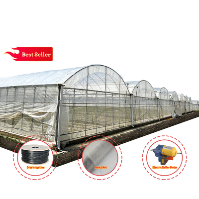 Estufa de aço galvanizado 24x40m com filme PE de 150 mícrons