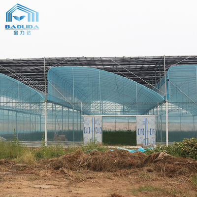 Kit de estufa agrícola multi-vão 6m-12m com garantia de 10 anos