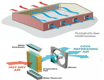 Sistema refrigerando ISO9001 do sistema de refrigeração da estufa de Diy/almofada da estufa