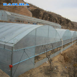 A estufa do filme plástico de Multispan com o berçário da planta do sistema de irrigação do gotejamento cresce a barraca