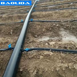 Sistema de irrigação poli da estufa do gotejamento para a exploração agrícola hortícola