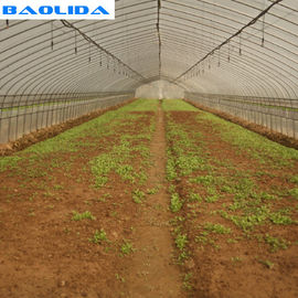 Plantas do sistema automático que crescem de cultivo o sistema de Greenhouse Drip Irrigation do Rigger