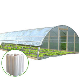 Estufa do filme plástico de crescimento vegetal/estufa período do túnel única
