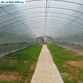 Estufa tropical agrícola do filme plástico do túnel de Singlespan