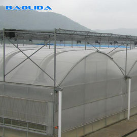 Cultivo de vidro transparente da planta de estufa de Multispan do túnel