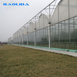 Cultivo de vidro transparente da planta de estufa de Multispan do túnel