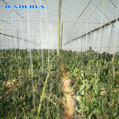 Multi estufa plástica industrial comercial agrícola do período para a plantação do tomate