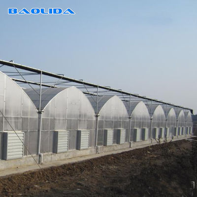 Plantas da agricultura que crescem o sistema de refrigeração da estufa de Multispan com ventilação superior/lados