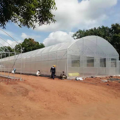 O plástico vegetal do túnel do único período cresce agrícola da casa galvanizado