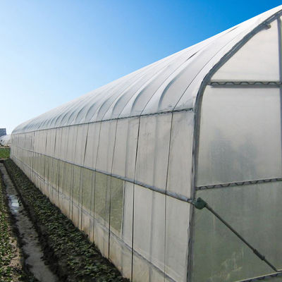 A largura 8m 9m 10m escava um túnel a estufa plástica para o crescimento de vegetais