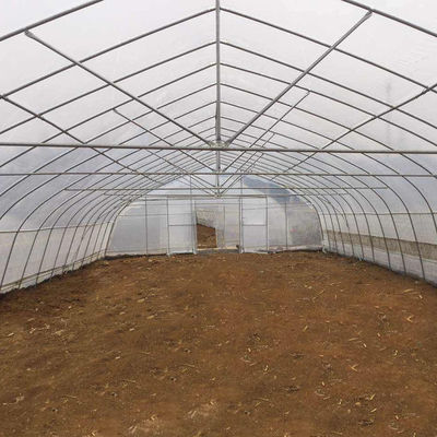 A largura 8m 9m 10m escava um túnel a estufa plástica para o crescimento de vegetais