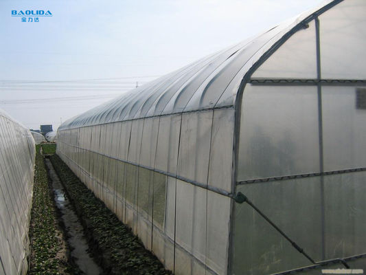 Estufa do período do túnel única para o cultivo agrícola do crescimento de vegetais