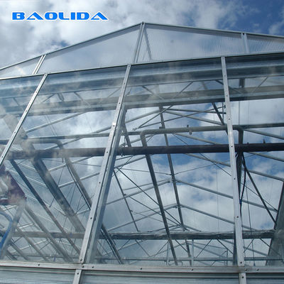 Tipo de vidro resistente estufa de Venlo das estufas do período da tubulação de aço de Gaivalnized multi
