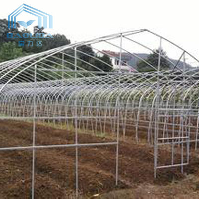 Período de Polytunnel Sri Lanka Colombo Steel Frame Greenhouse Single