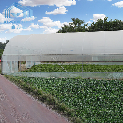 Do túnel agrícola poli da estufa do tomate estufa plástica para o equipamento da irrigação de gotejamento