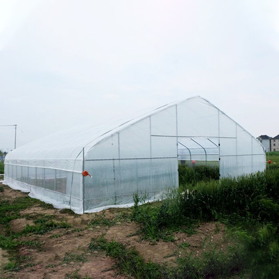 Estufa do filme de polietileno do túnel da exploração agrícola/estufa plástica clara para vários vegetais
