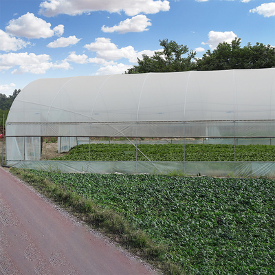 Túnel plástico galvanizado exterior do filme de folha da estufa da armação de aço agrícola