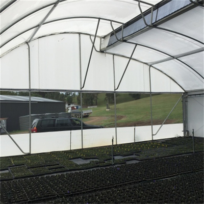 Estufa do período do Sawtooth tropical do sistema de ventilação única para o crescimento de vegetais