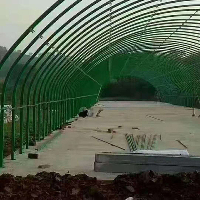 Estufa poli do túnel da galinha para a criação de animais de rebanhos animais e de aves domésticas de exploração avícola
