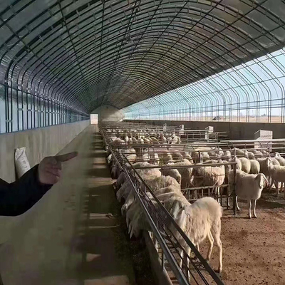 Automático agrícola da estufa do filme plástico da exploração avícola dos calefatores das gaiolas da galinha