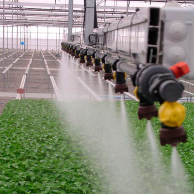 Sistema de irrigação da estufa do trigo/sistemas de irrigação pretos de Polytunnel